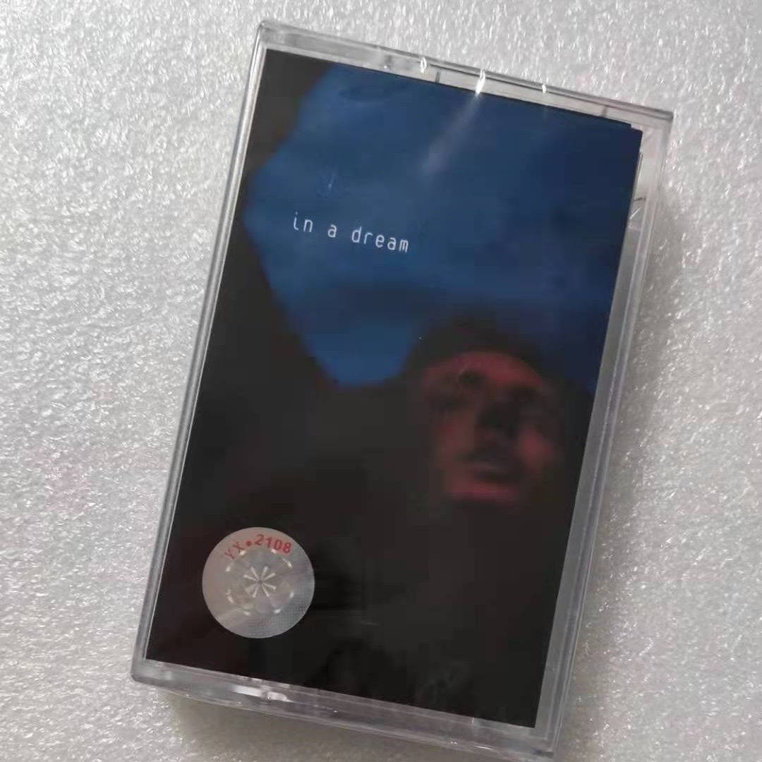 Electronic Gift - Troye Sivan In A Dream -